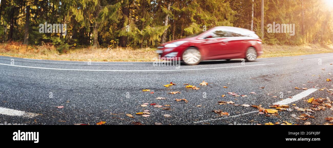 Asphalt road with beautiful trees in autumn Stock Photo - Alamy
