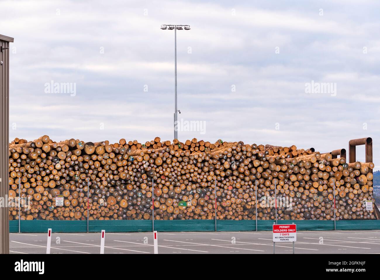 Timber logs from Tasmania's southern forests, stacked awaiting export