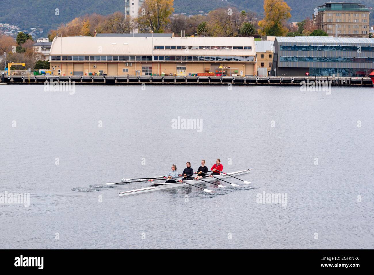 Four (4) women rowing a  quadruple sculling boat (quad skull) on the Derwent River near Constitution Dock, Hobart, Tasmania, in the early morning Stock Photo