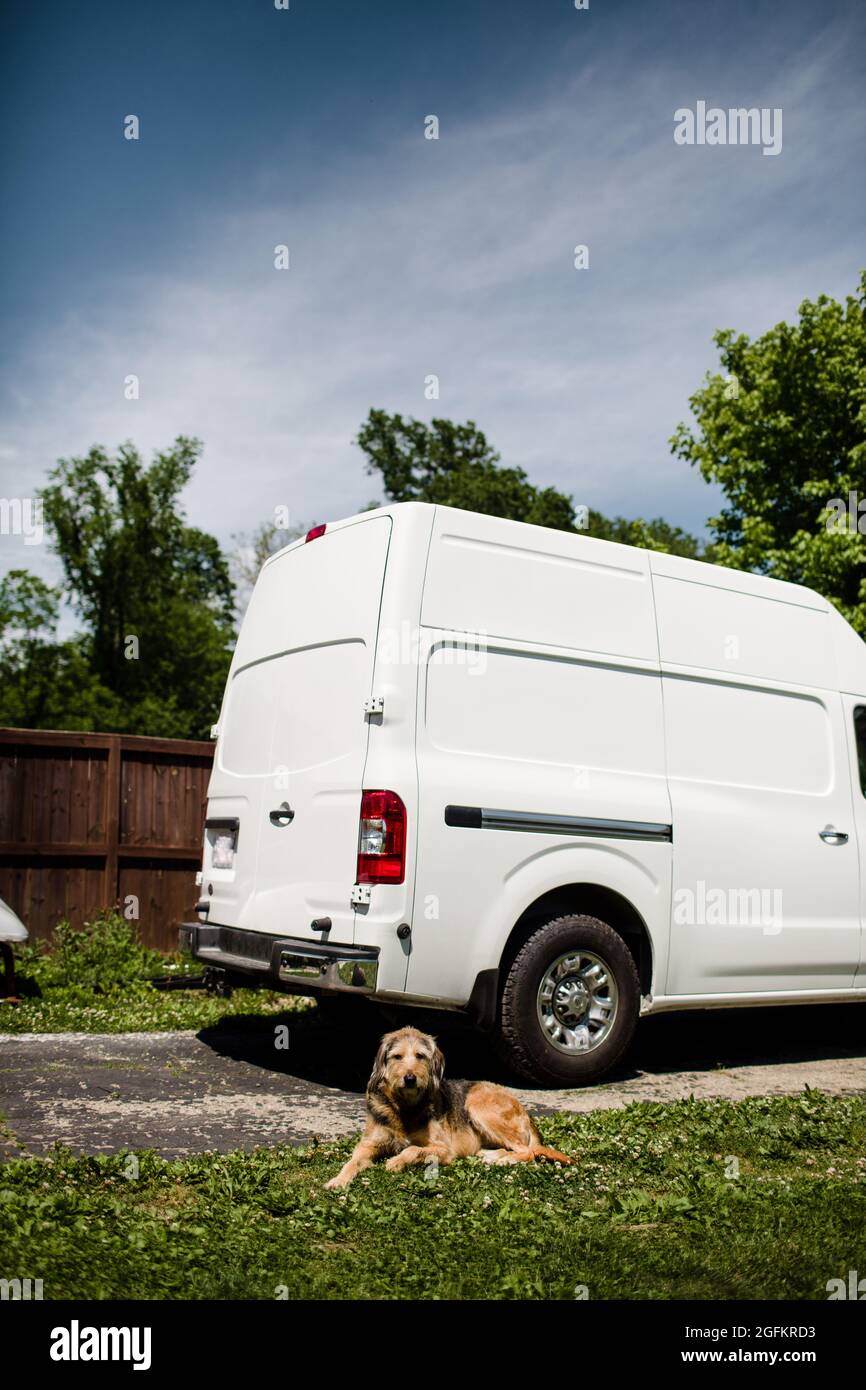 Portrait of Large Dog Laying on Ground in Front of Van in Ohio Stock Photo