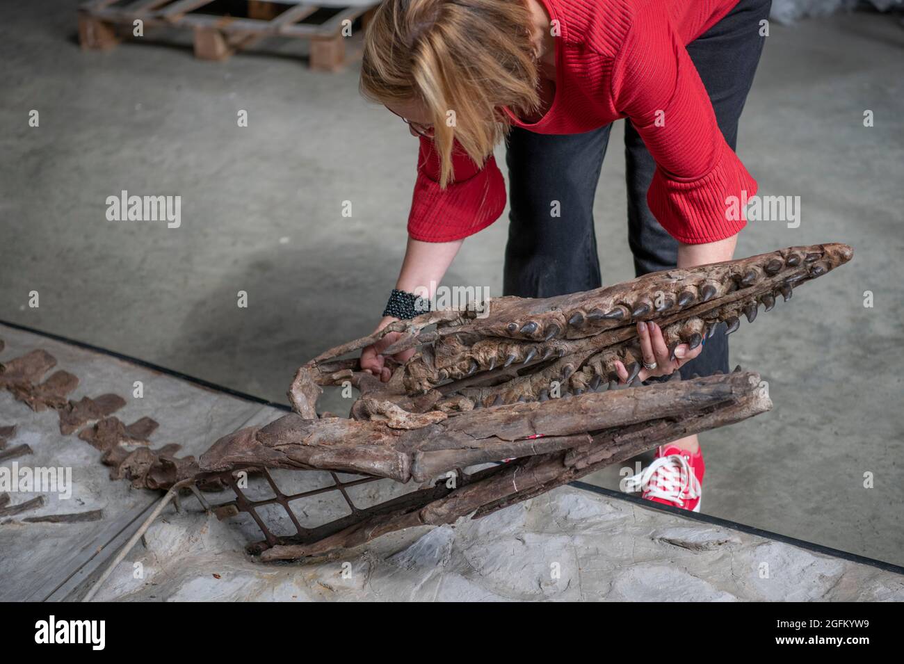 Summers Place Auctions, Billingshurst, Sussex, UK. 26 August 2021. Star