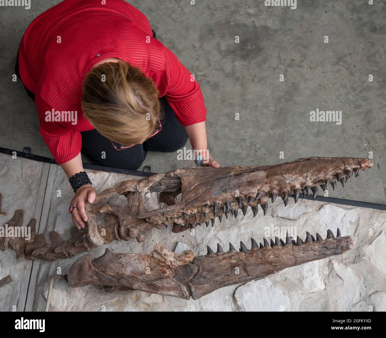 Summers Place Auctions, Billingshurst, Sussex, UK. 26 August 2021. Star