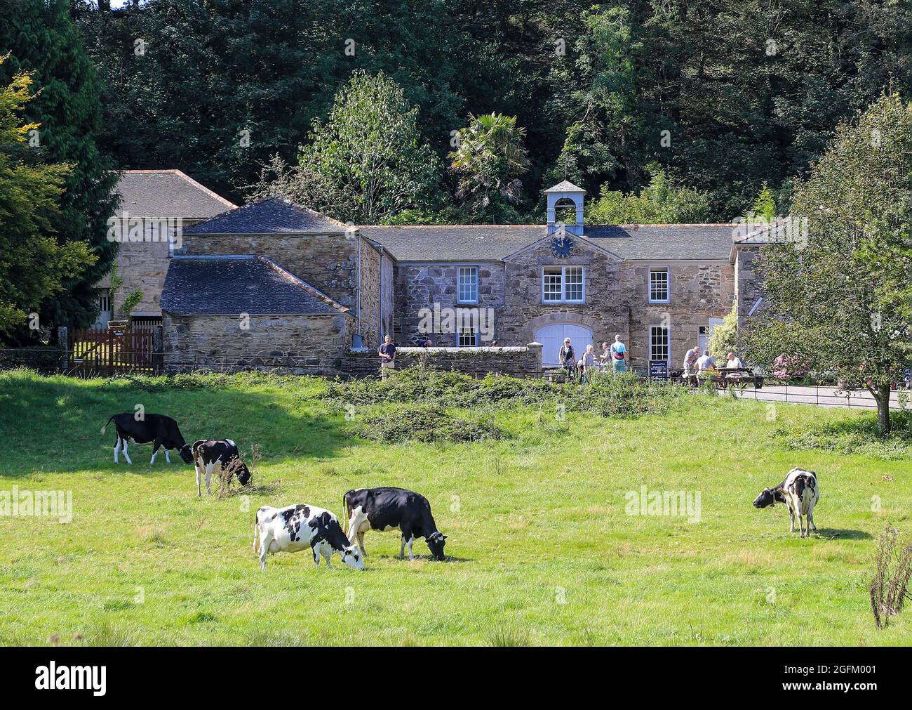 The Stables café, Penrose Estate, Helston, Cornwall, England, UK Stock