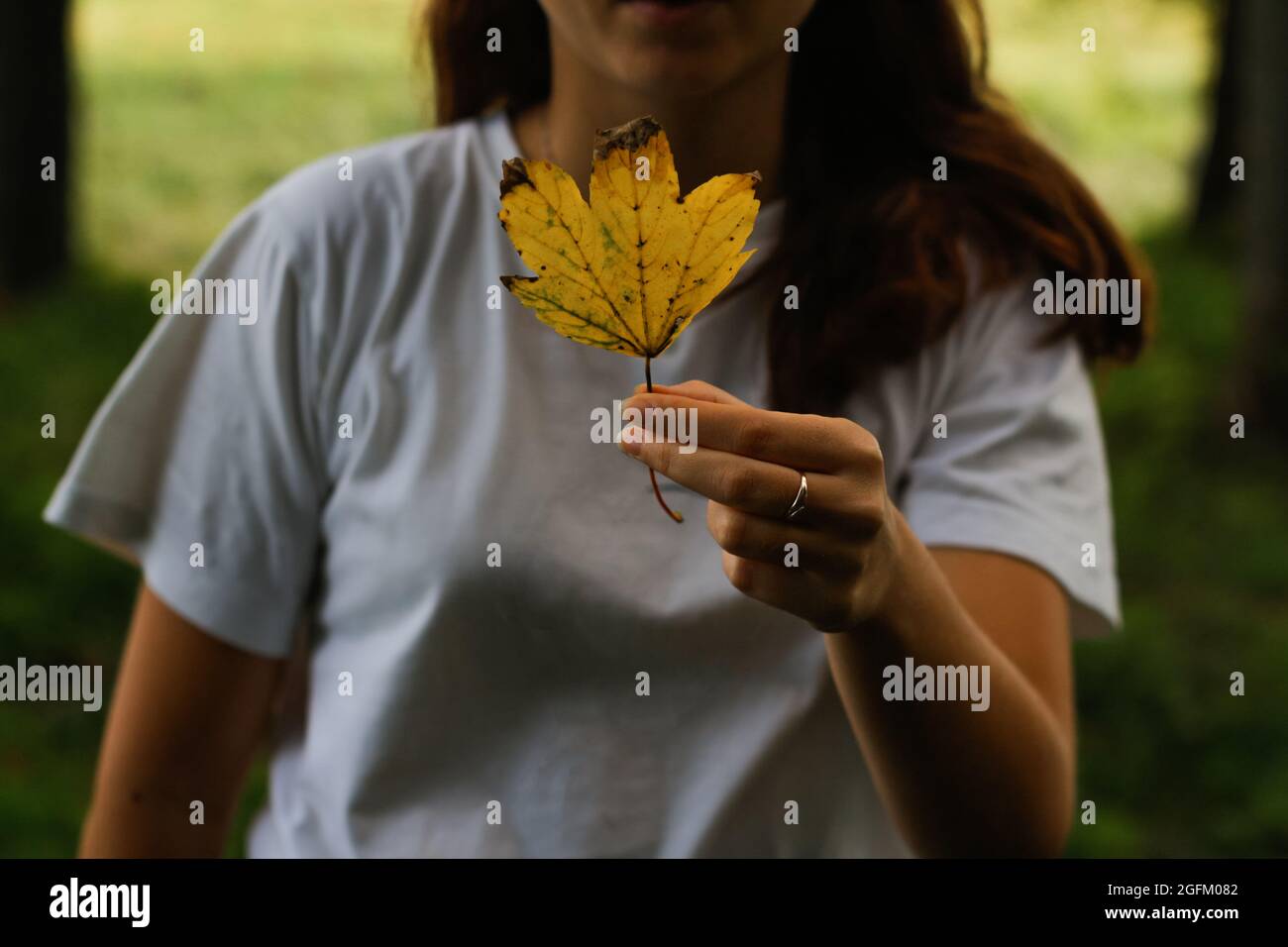 Defocus portrait of a happy young woman with brown hair wearing a hat ...