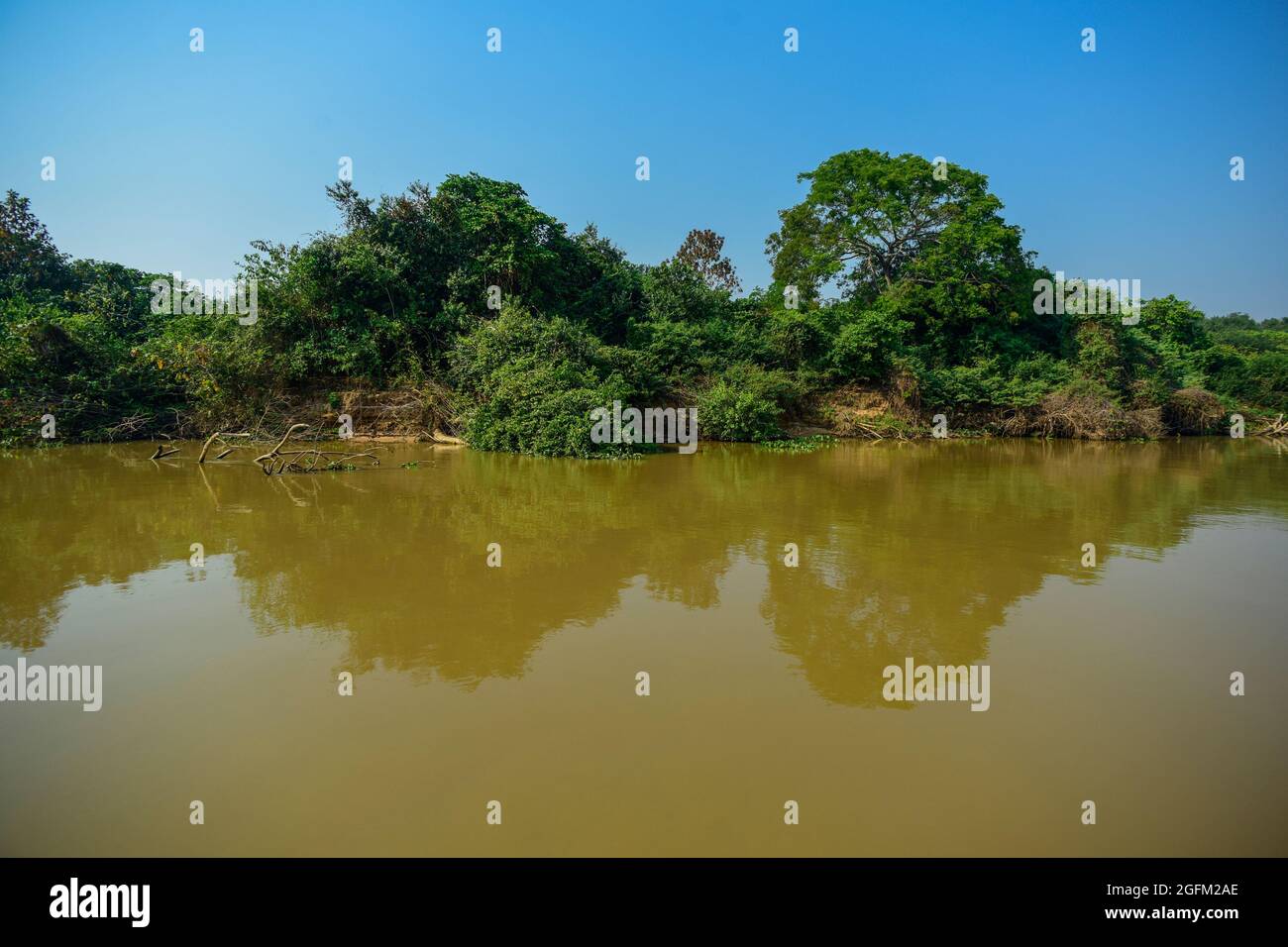 Mata grosso hi-res stock photography and images - Alamy
