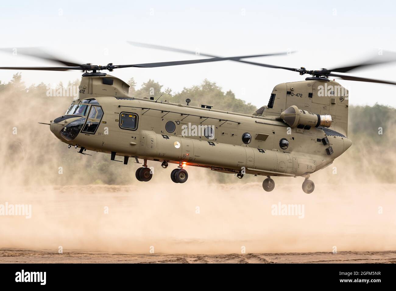 A Boeing CH-47F Chinook transport helicopter of the Royal Netherlands Air Force training at the GLV5 low flying aera. Stock Photo