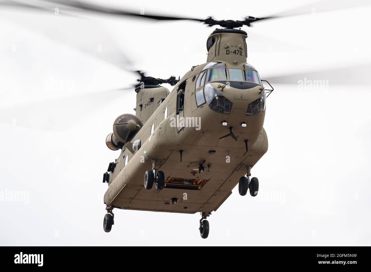 A Boeing CH-47F Chinook transport helicopter of the Royal Netherlands Air Force training at the GLV5 low flying aera. Stock Photo