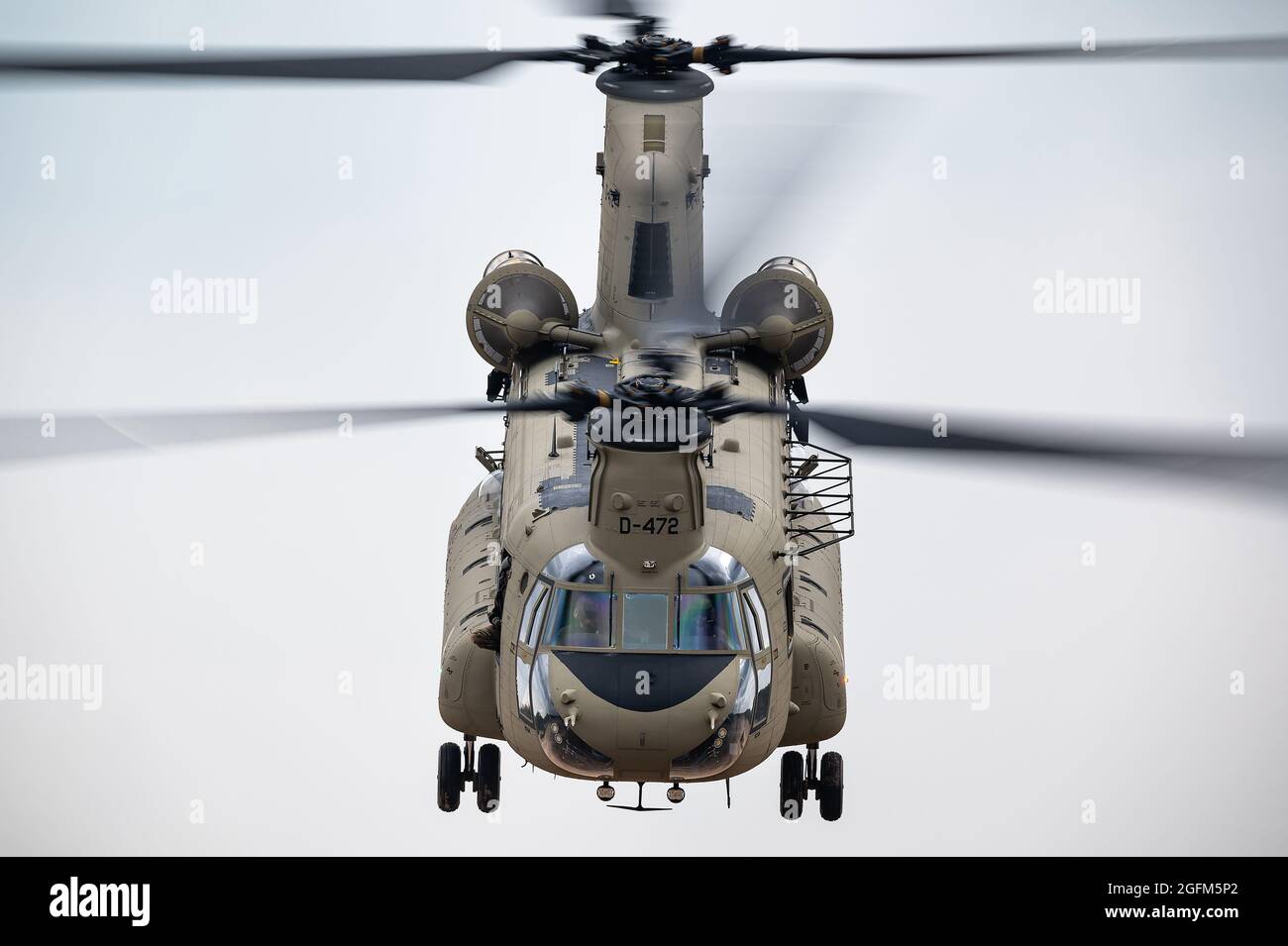 A Boeing CH-47F Chinook transport helicopter of the Royal Netherlands Air Force training at the GLV5 low flying aera. Stock Photo