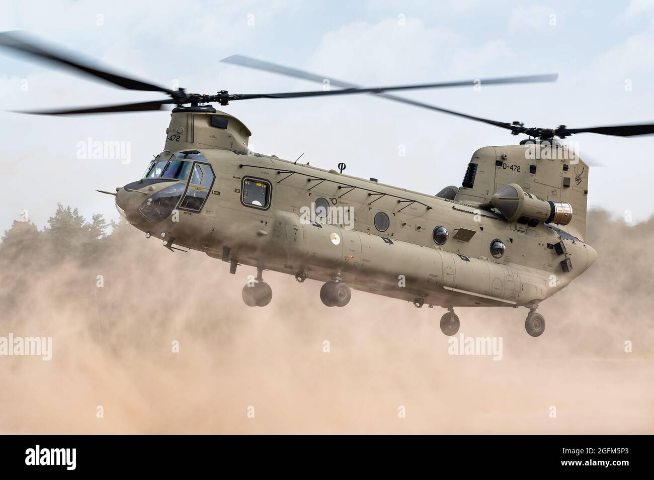 A Boeing CH-47F Chinook transport helicopter of the Royal Netherlands Air Force training at the GLV5 low flying aera. Stock Photo