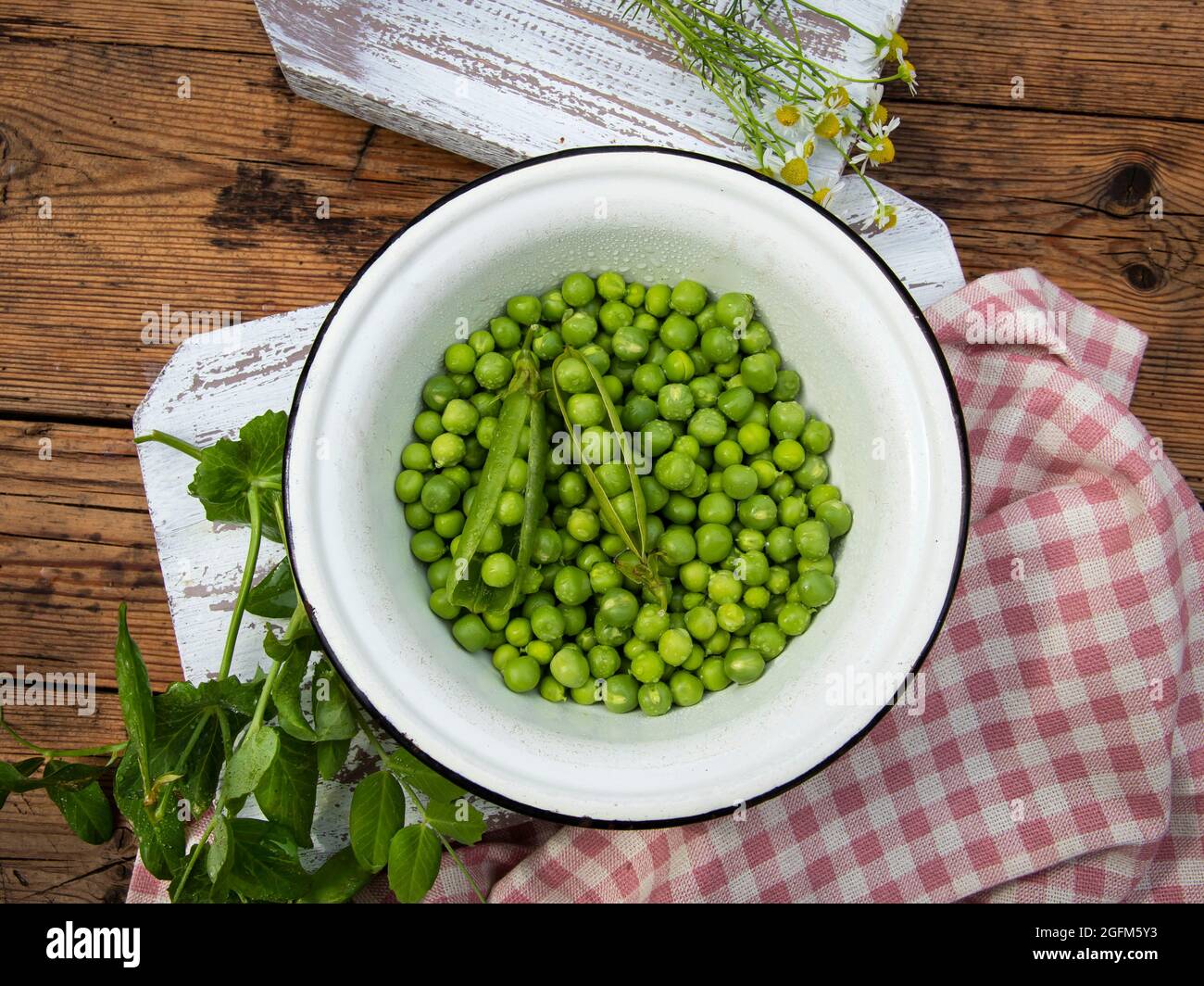 Fresh green peas in a white bowl, pods, on the table Stock Photo