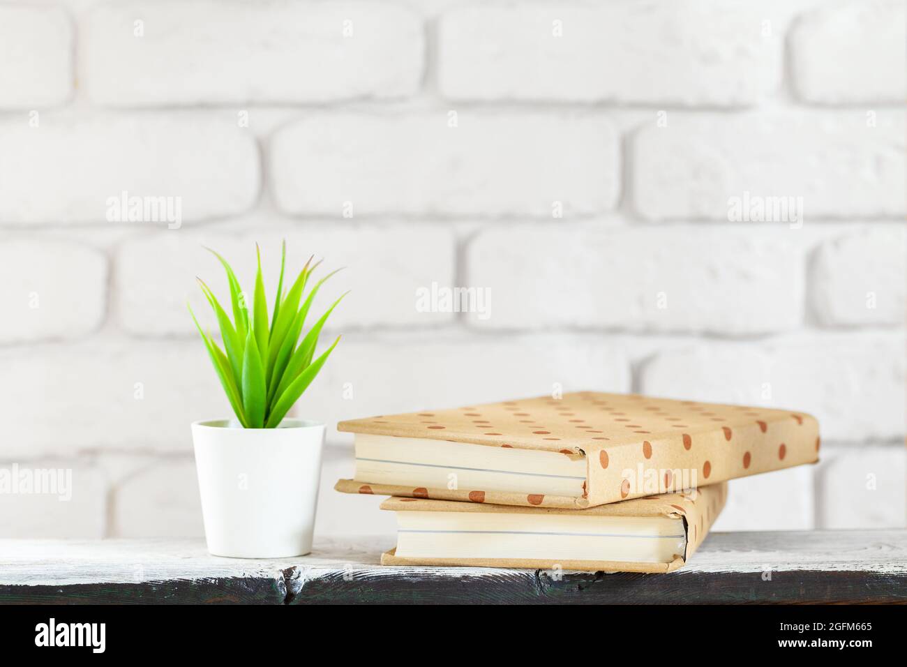 House plants in pots on white table at white brick wall with objects Stock Photo