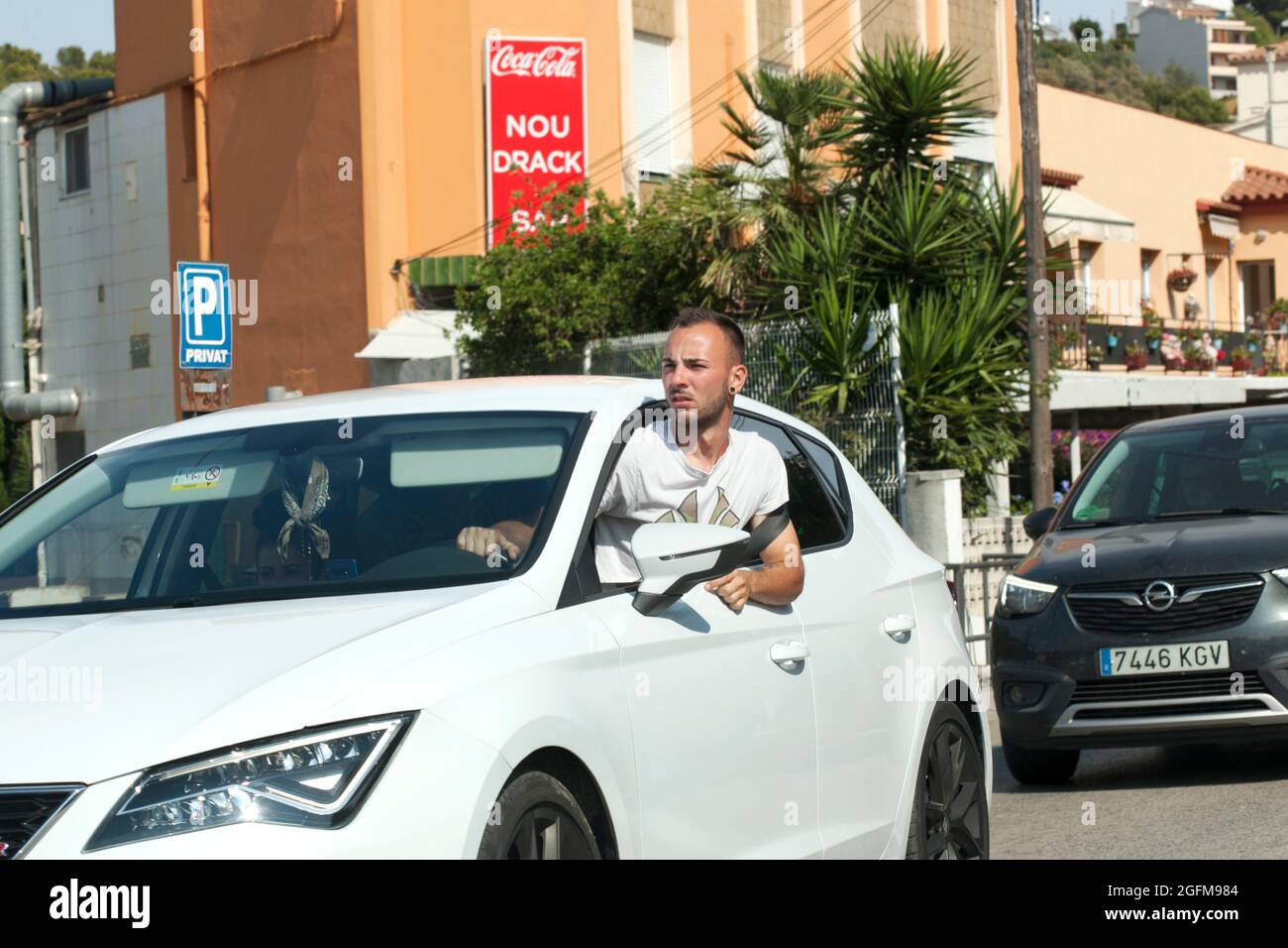 Driver leaning out of car window to see what problem lies ahead, N. Catalonia, Spain. Stock Photo