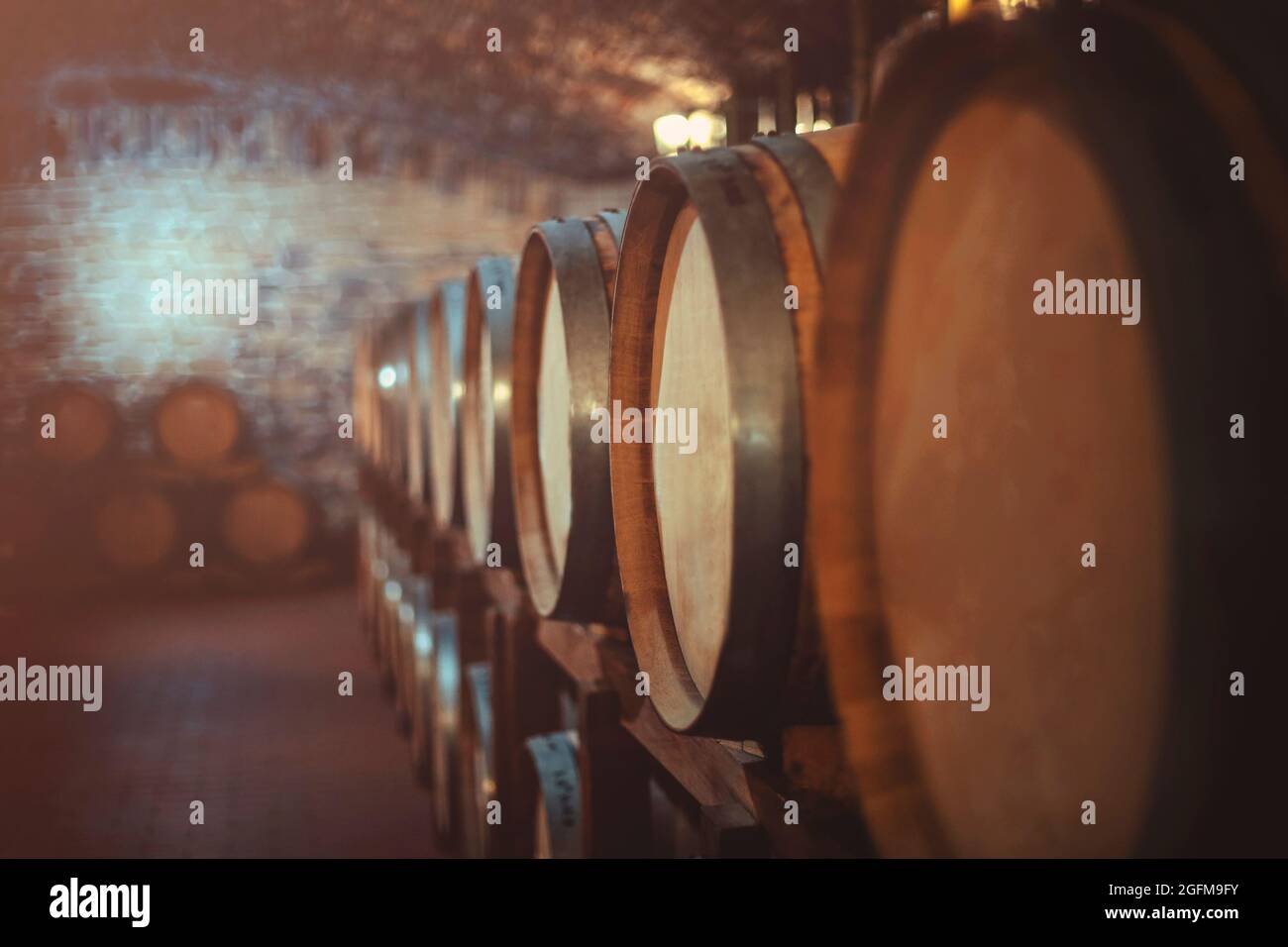 Old oak barrels in a wine cellar with copy space Stock Photo