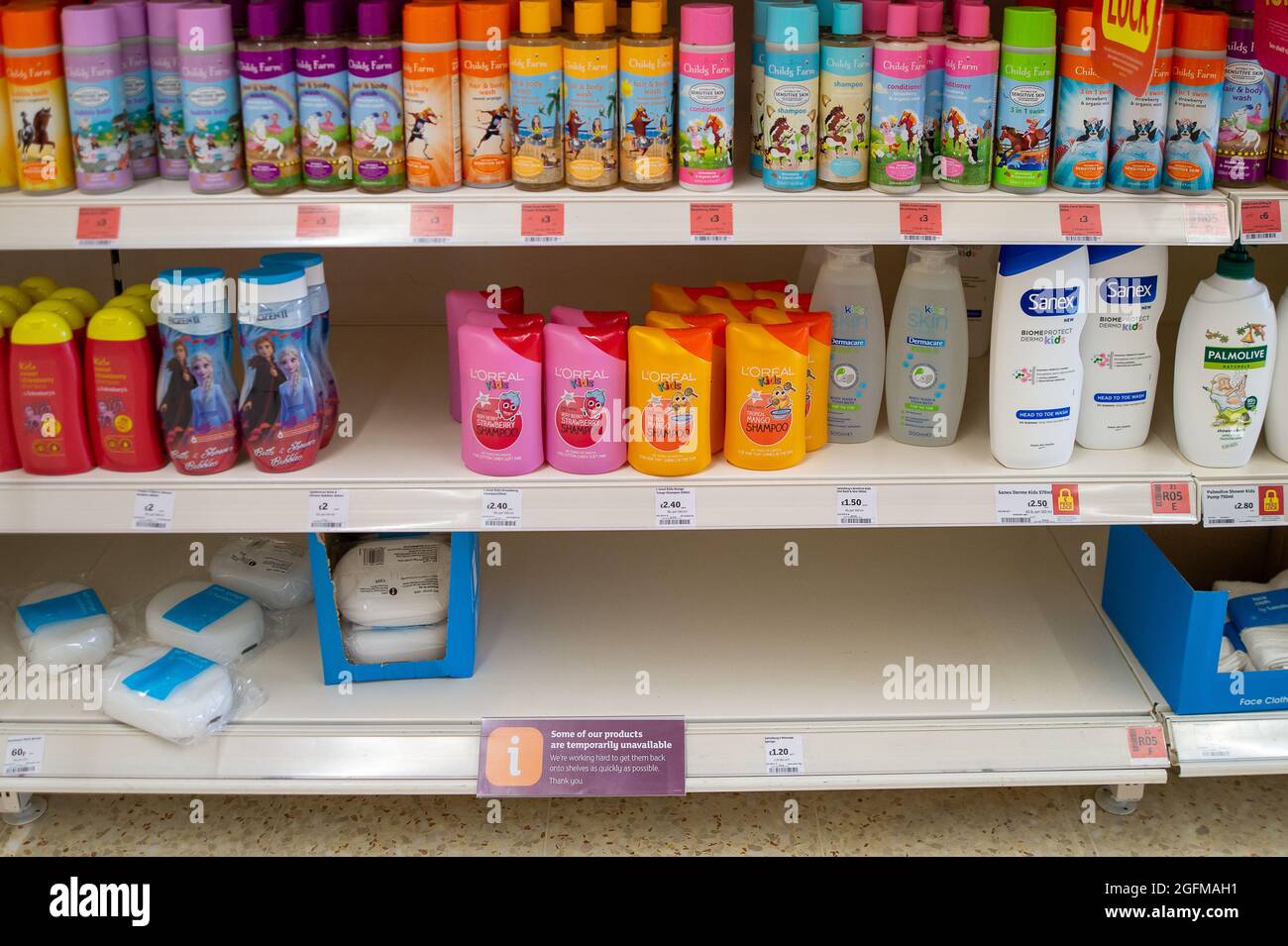 Cat shampoo sainsburys top