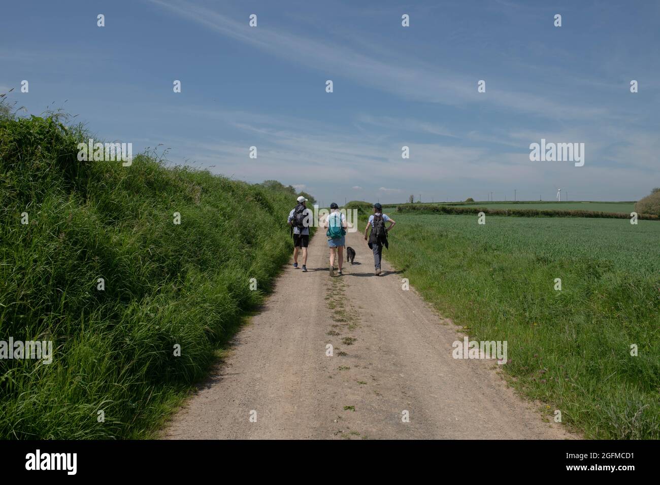 Group of Two Female and One Male Adults Walking Along a Dirt Track in the Rural Devon Countryside on a Bright Sunny Spring Day with a Blue Sky Stock Photo