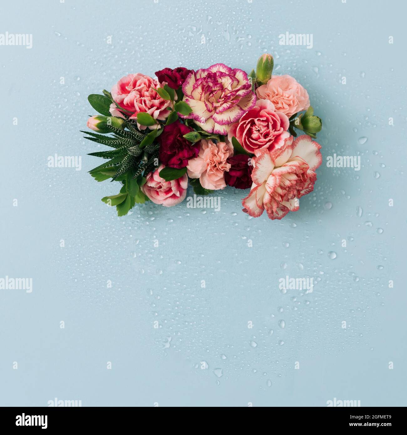 Background from bright spring flowers in full bloom Stock Photo - Alamy