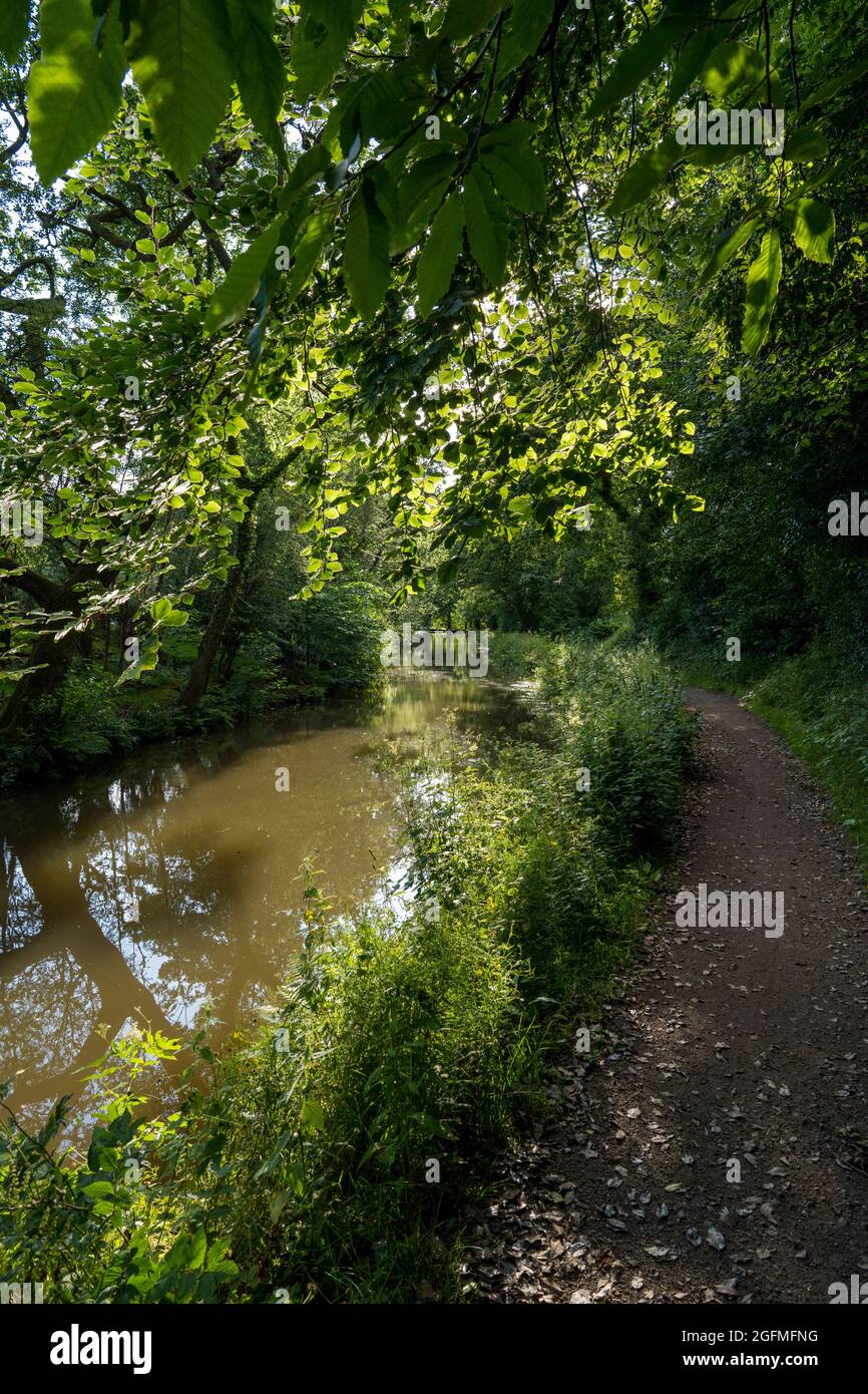 Monmouthshire and Brecon Canal at Llanover, Monmouthshire, South East Wales, UK Stock Photo