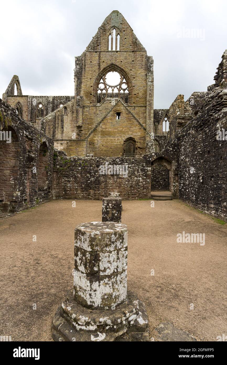 Tintern Abbey, Tintern, Wye Valley, Monmouthshire, Wales, UK Stock Photo