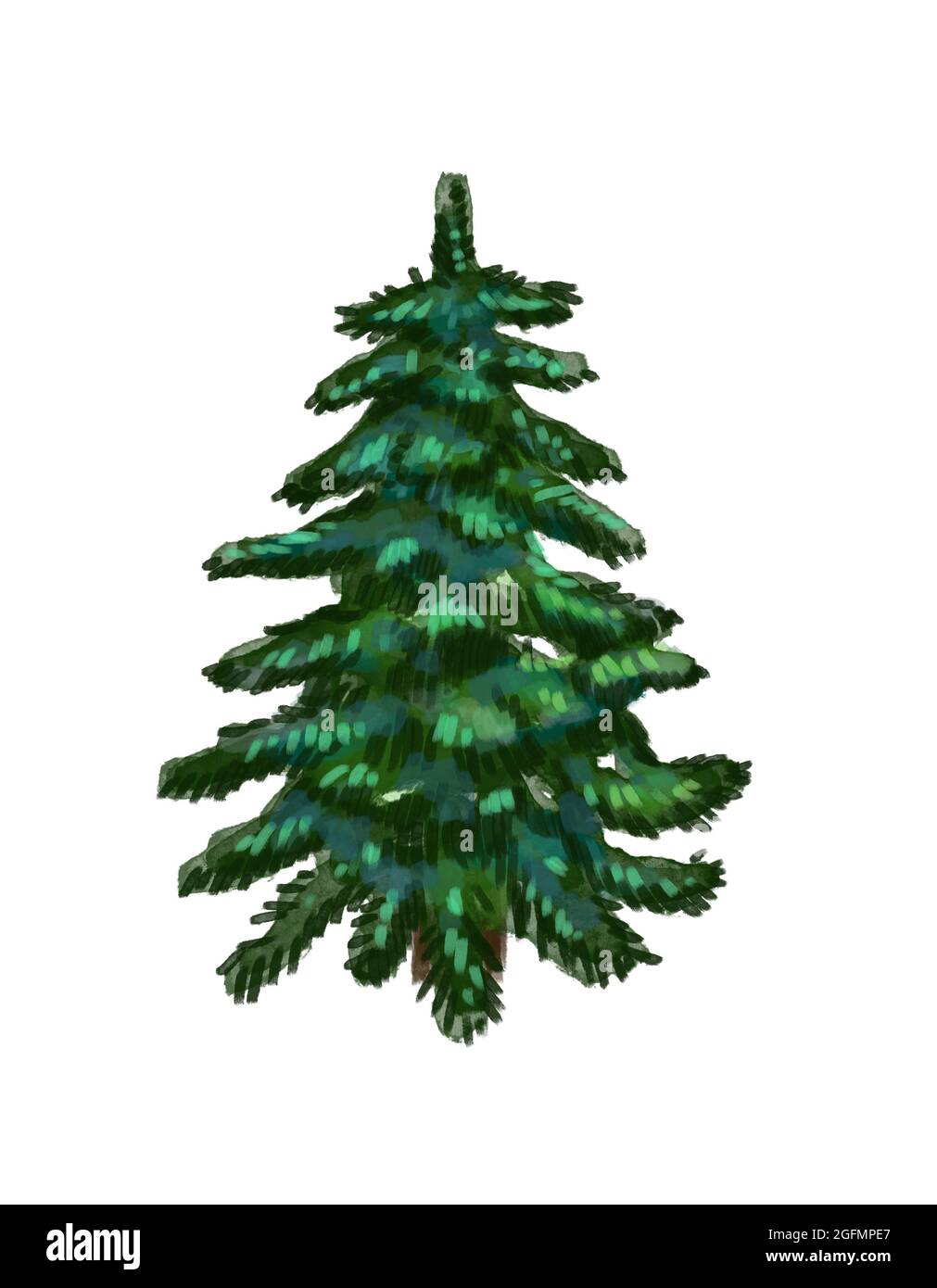 Watercolor green Christmas tree on white background. Stock Photo