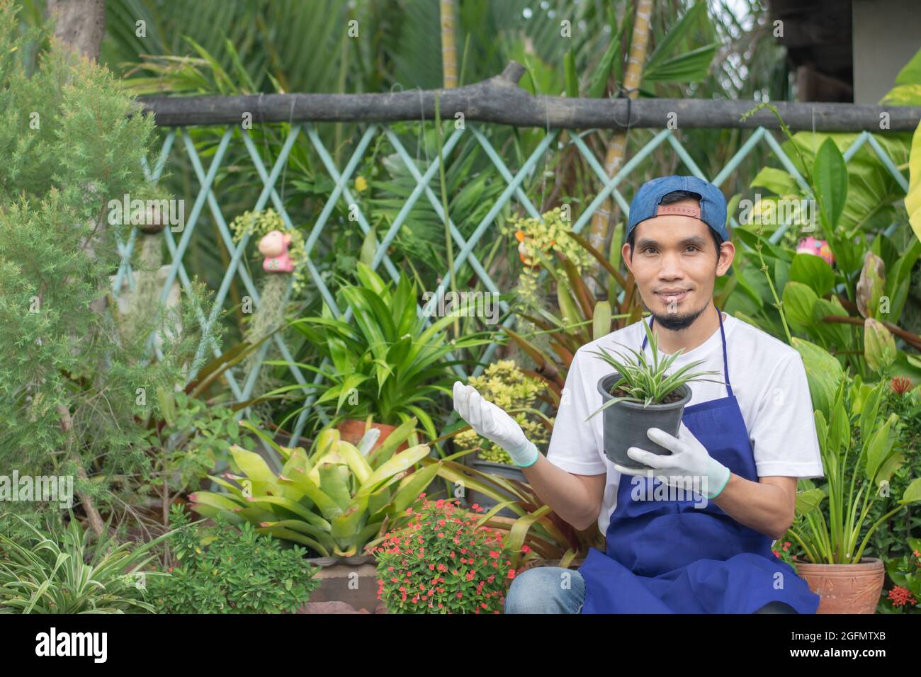 Man sell plant garden in shop Stock Photo Alamy