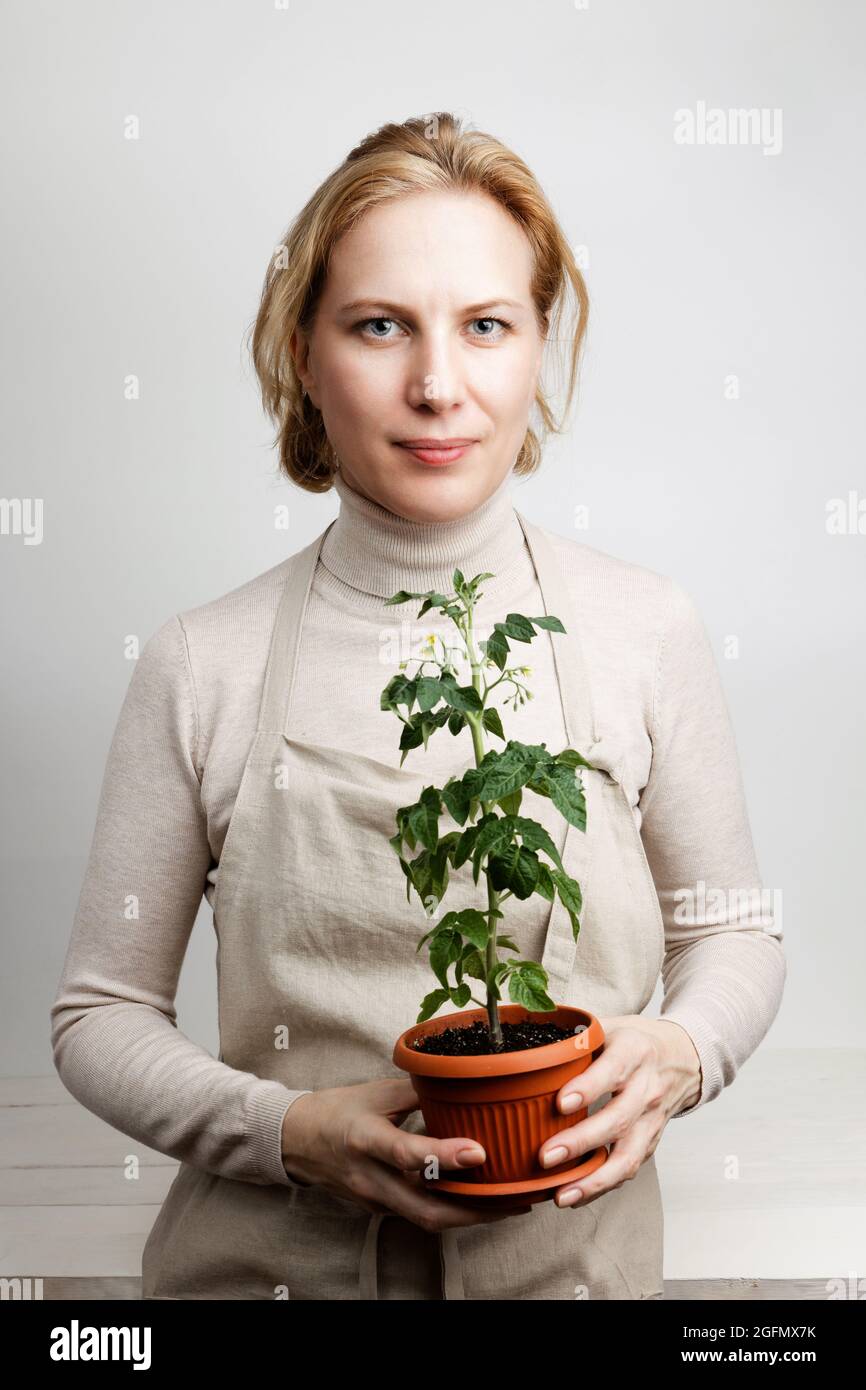 Woman gardener holding a pot with tomato seedlings against white wall ...