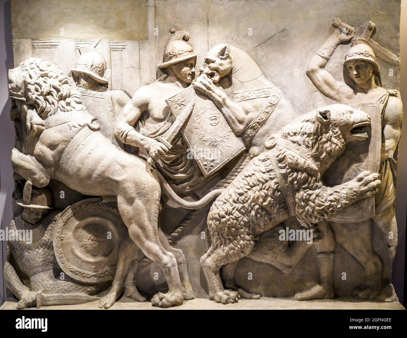 Relief with scene of staged hunt (venatio) with lions and a bear - Plaster cast, modern reproduction from an original of the 1st century BC.  National Archaeological Museum of Naples, Italy. The scene shows three hunters (venatores) wearing long tunic, but equipped with helmets and an arm-guard (manica) on the right arm, who defend themselves with rectangular shields and short swords with a straight blade from the attacks of a bear, a lion and a panther which have a sort of harness in which the front paws are inserted. A soldier with segmented plate armour (lorica squamata), a helmet and a cir Stock Photo