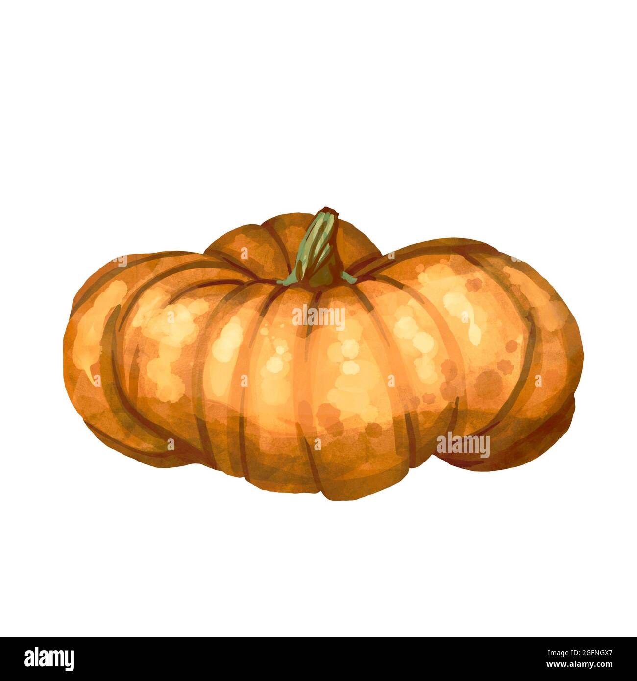 Beautiful orange pumpkins on isolated white background. Autumn set of ...