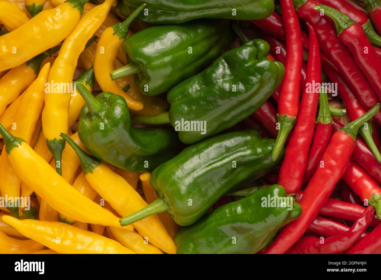 Yellow ( Aji Limon ), green ( Padron ) and red ( Ring of Fire ) chilli peppers. Stock Photo