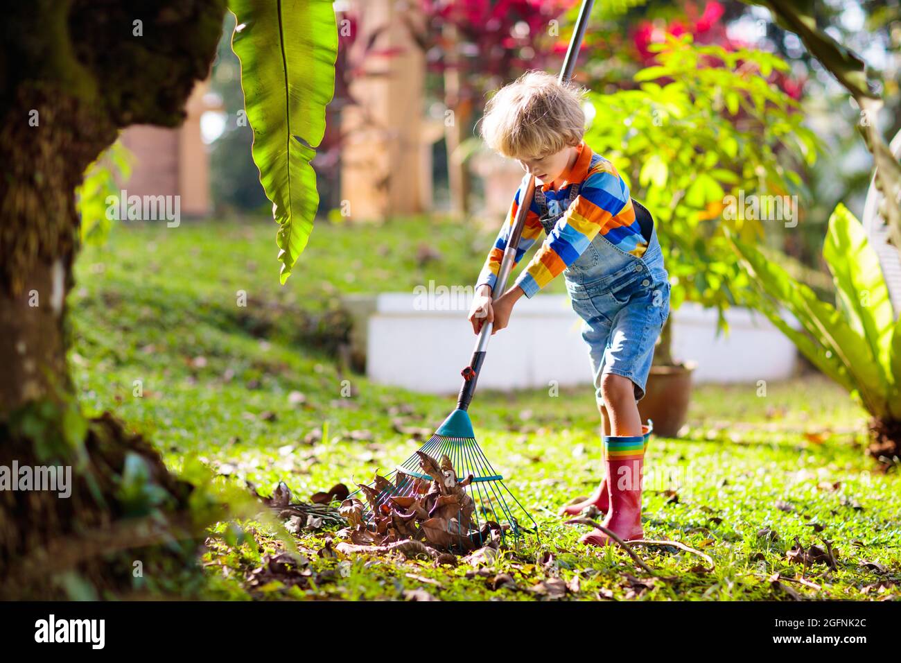 Child and rake in autumn garden. Kid raking leaves in fall. Gardening