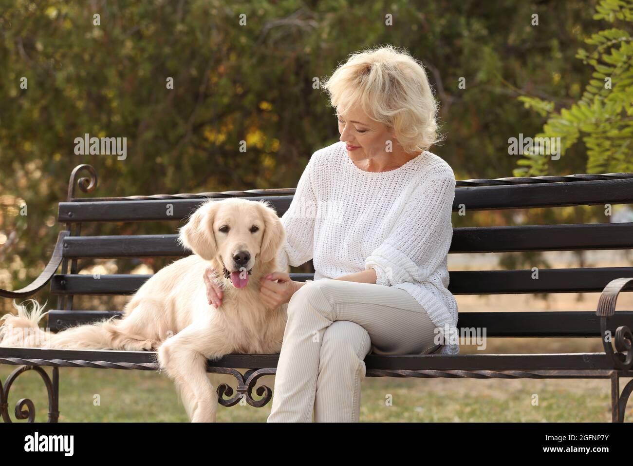 Senior woman sitting on bench with dog Stock Photo - Alamy