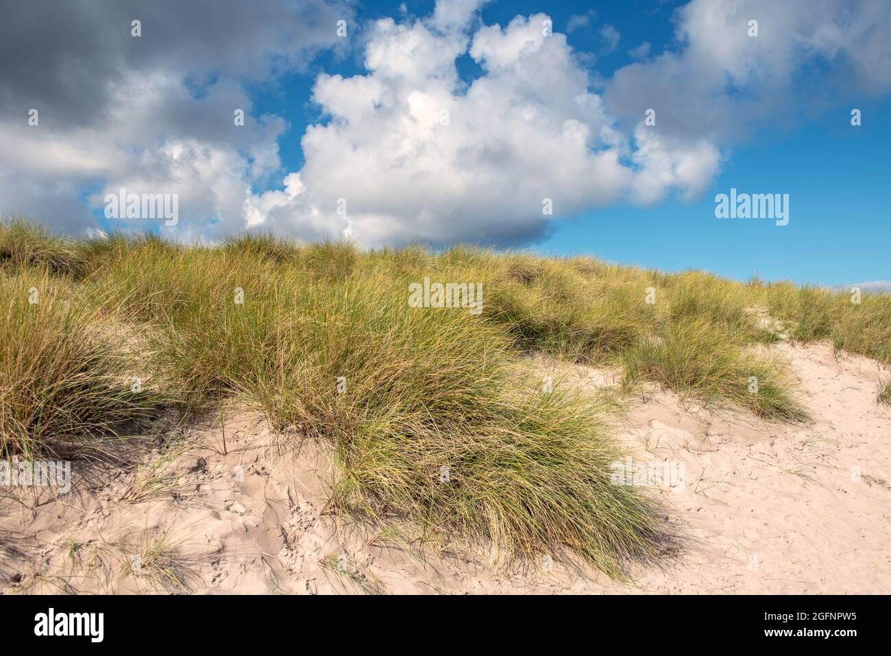 Sand dunes beneath a blue sky with white clouds Stock Photo