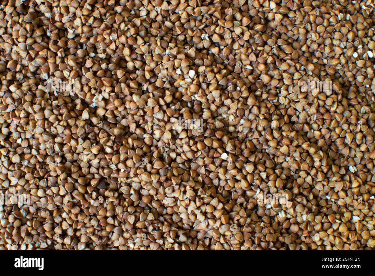 Dry buckwheat, raw grains. Texture. Healthy nutrition concept