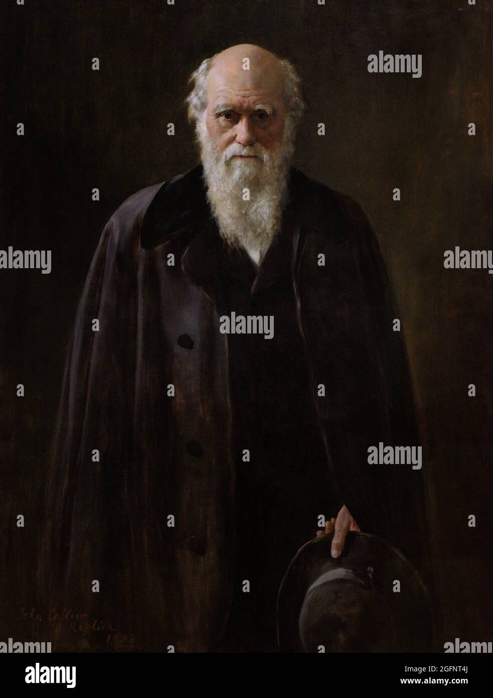 Charles Darwin (1809-1882). British scientist and naturalist. Author of the On the Origin of Species, 1859. Portrait, copy by John Collier (1850-1934) based on a work of 1881 made by Collier for the Linnaean Society. Oil on canvas (125,7 x 96,5 cm), 1883. National Portrait Gallery. London, England, United Kingdom. Stock Photo