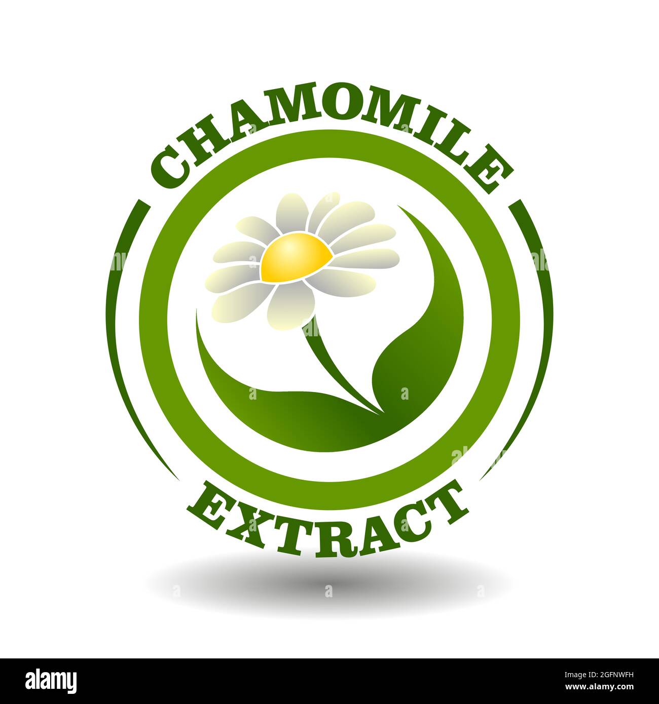 Vector circle logo Chamomile Extract with daisy white flower and green leaves symbol in round pictogram for organic cosmetics sign, natural food label Stock Vector