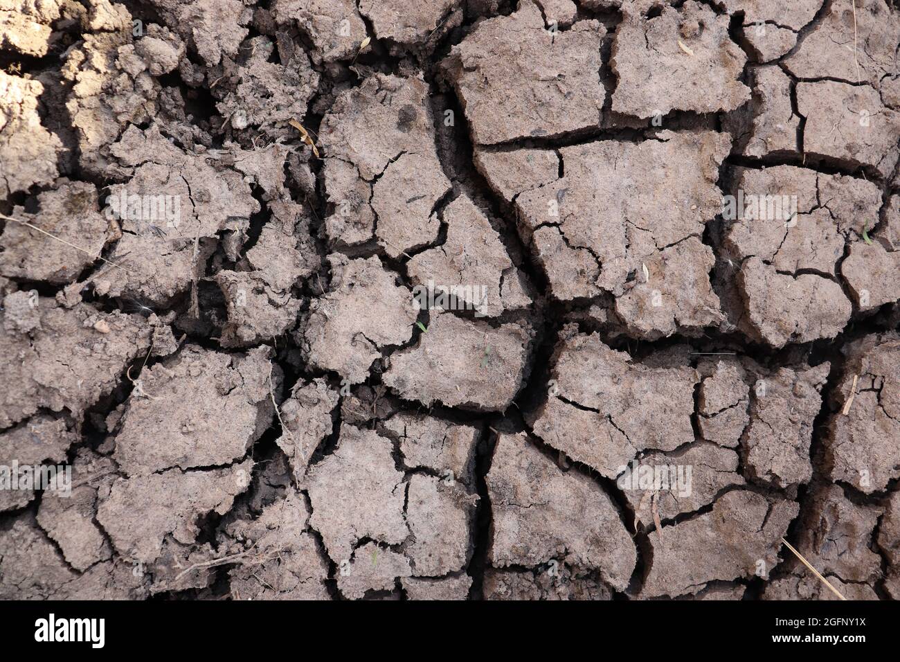 Cracked ground in dry season, luxor, egypt Stock Photo