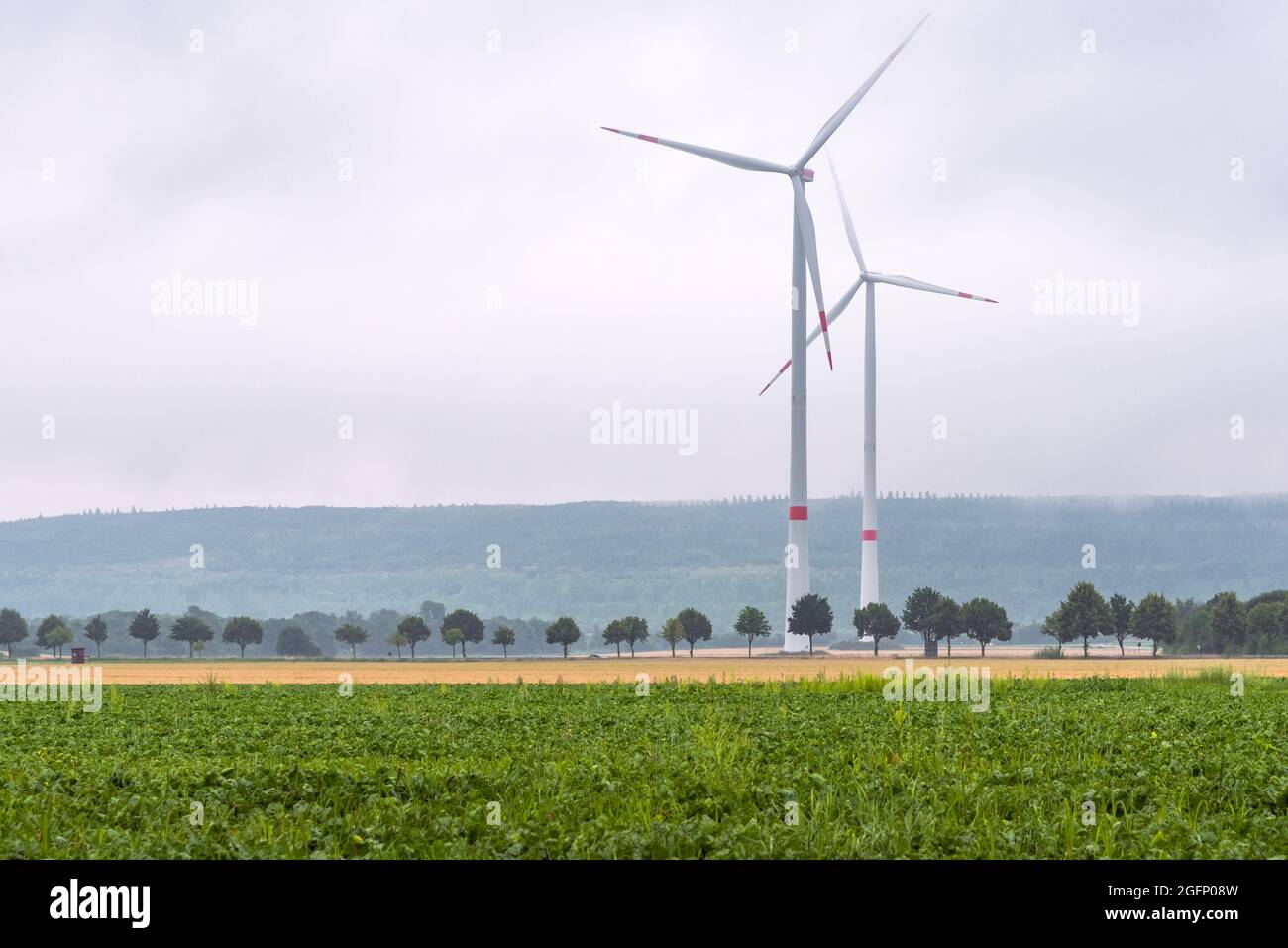 Wind turbines shrouded in fog Stock Photo