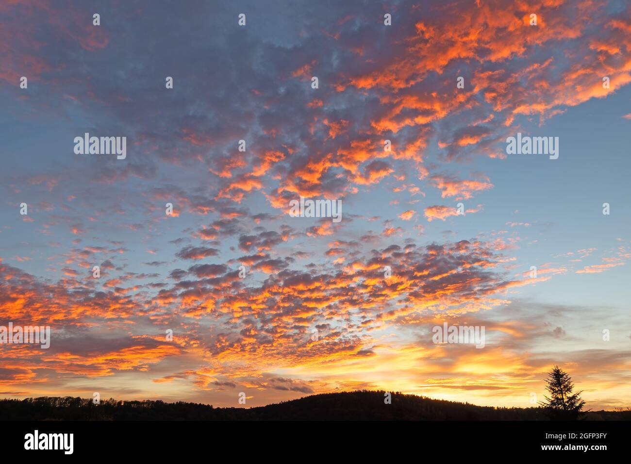 Afterglow, sky with altocumulus clouds Stock Photo