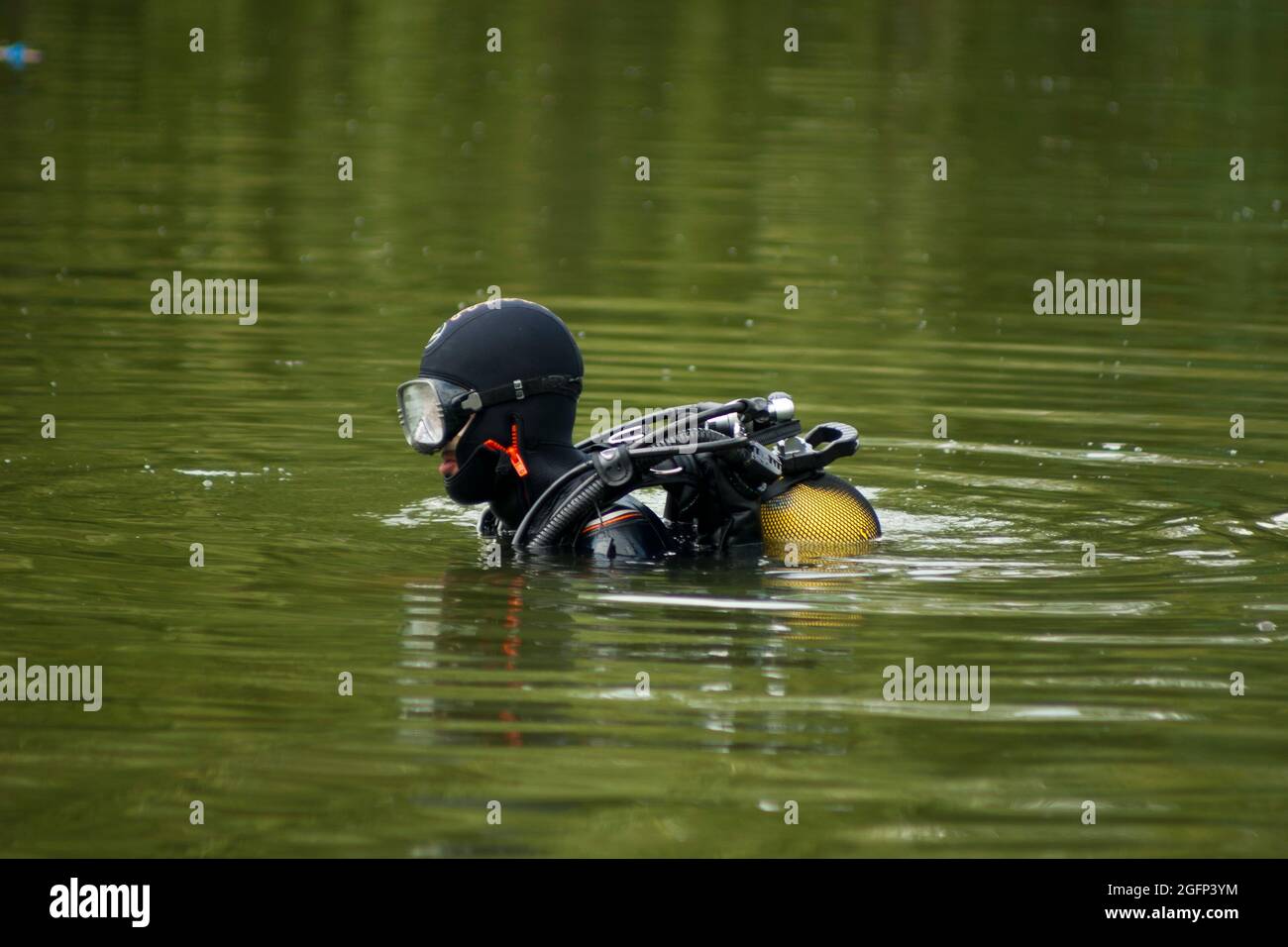 A diver prepares to dive into the murky water of a pond Stock Photo Alamy