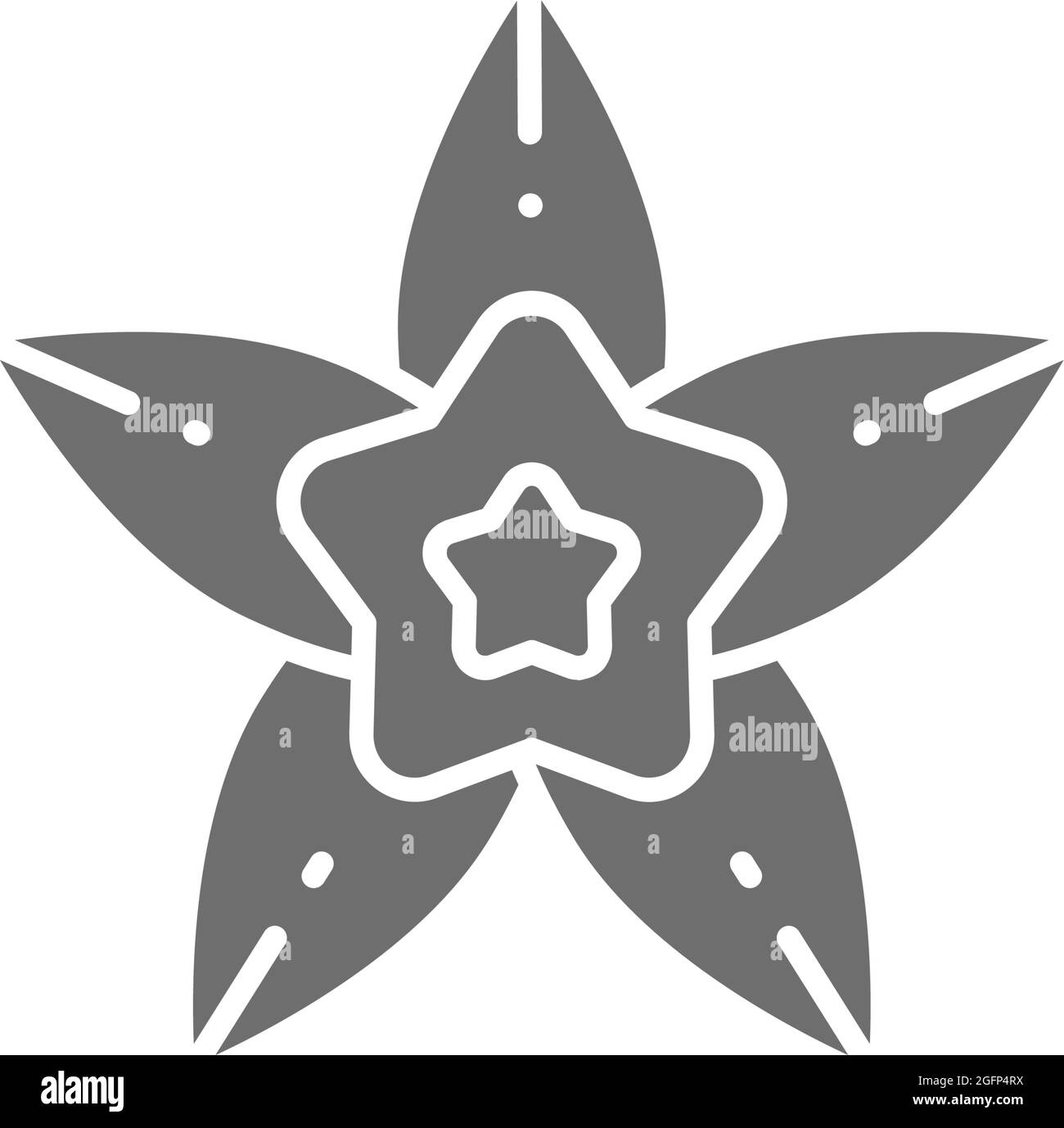 Vanilla, star anise grey icon. Isolated on white background Stock Vector