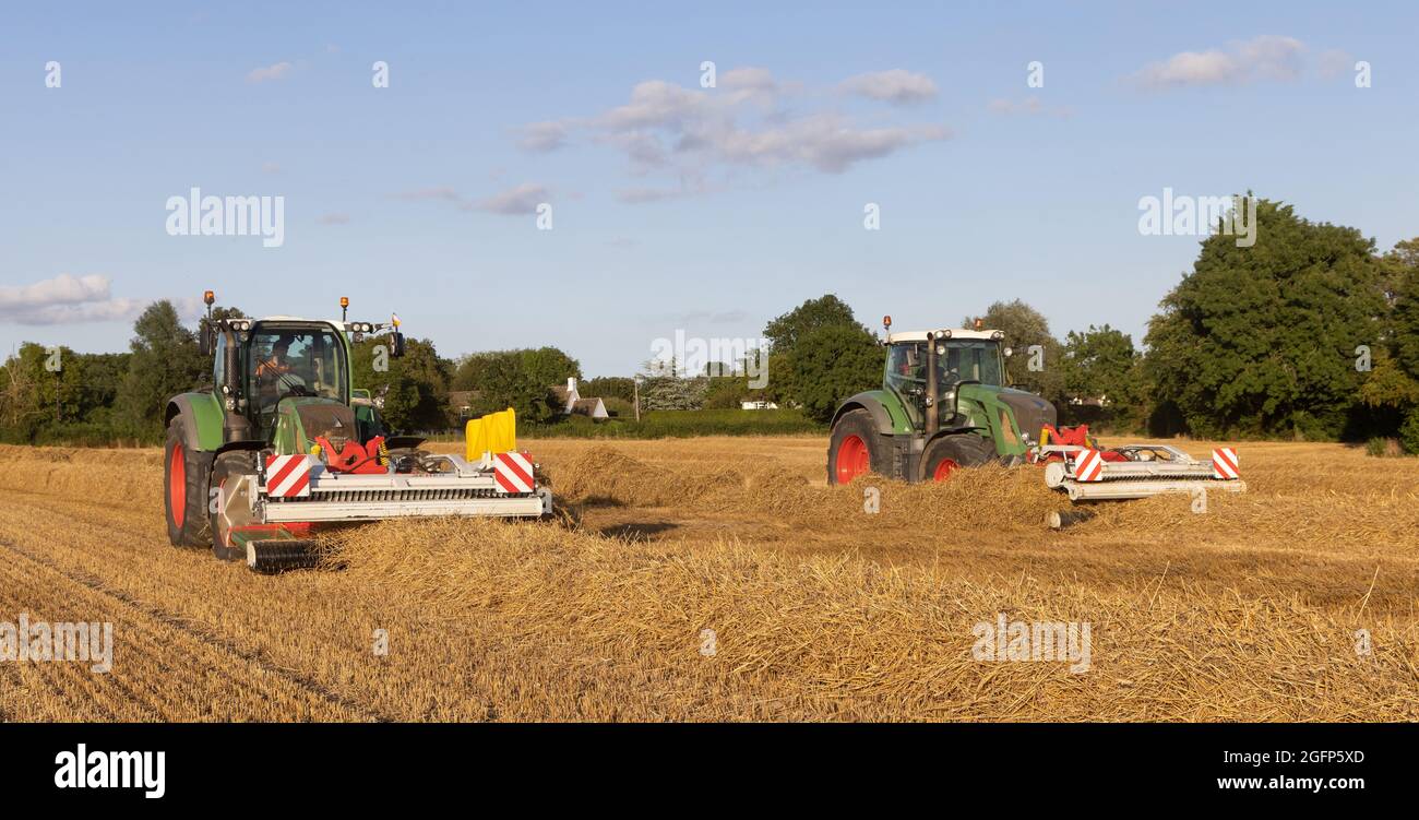 Farmer using mergers to dry straw swaths ready for baling. Hertfordshire. UK. Stock Photo