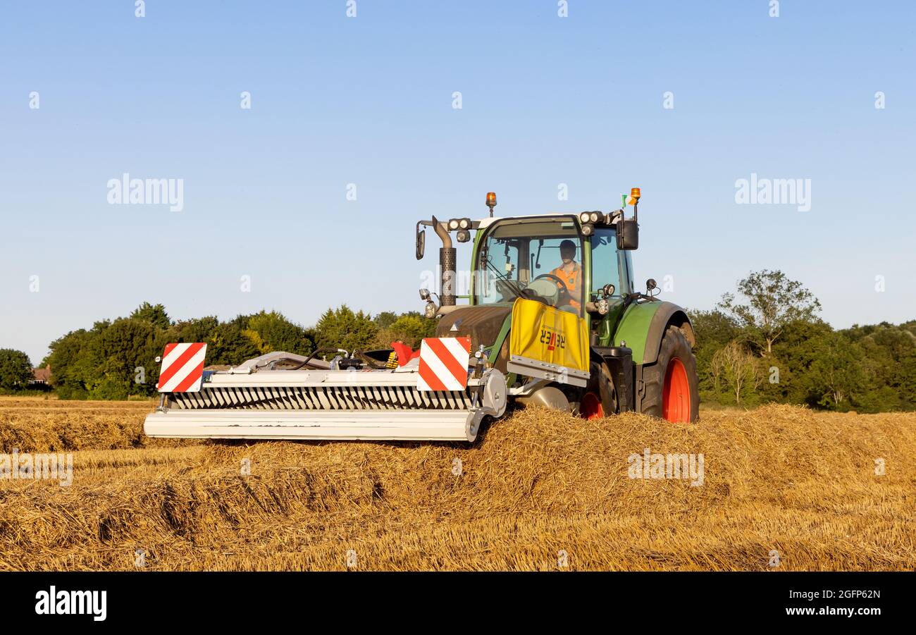 Farmer using a merger to dry straw swaths ready for baling. Hertfordshire. UK. Stock Photo