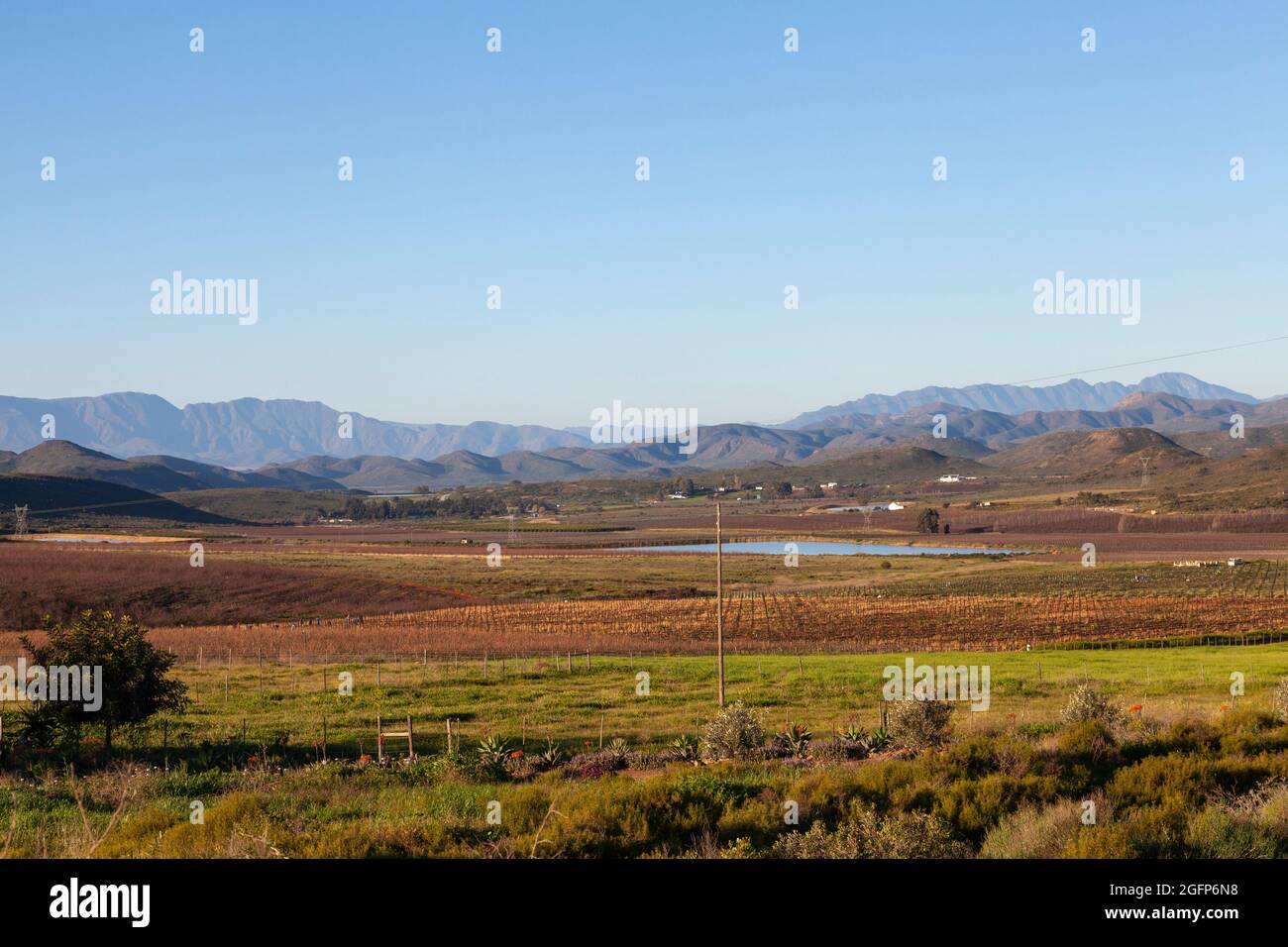 Sunset view over vineyards in the Robertson Wine Valley near McGregor with a view to the Langeberg Mountains, Western Cape Winelands, South Africa in Stock Photo