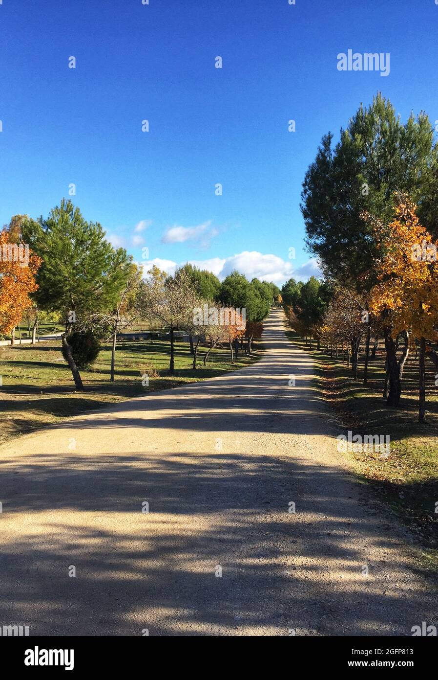 Beautiful shot park light hi-res stock photography and images - Alamy