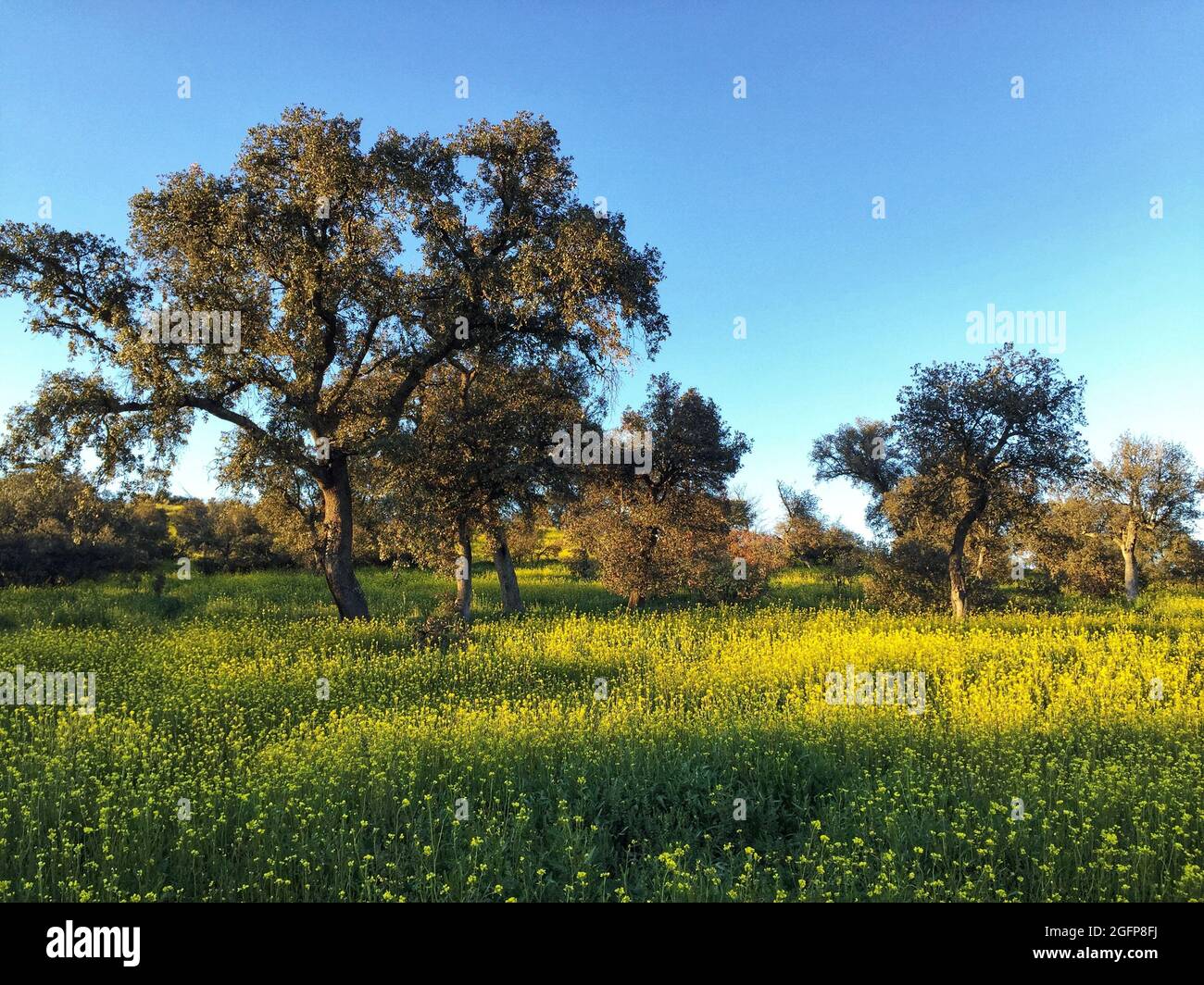 Beautiful natural landscape shot hi-res stock photography and images ...