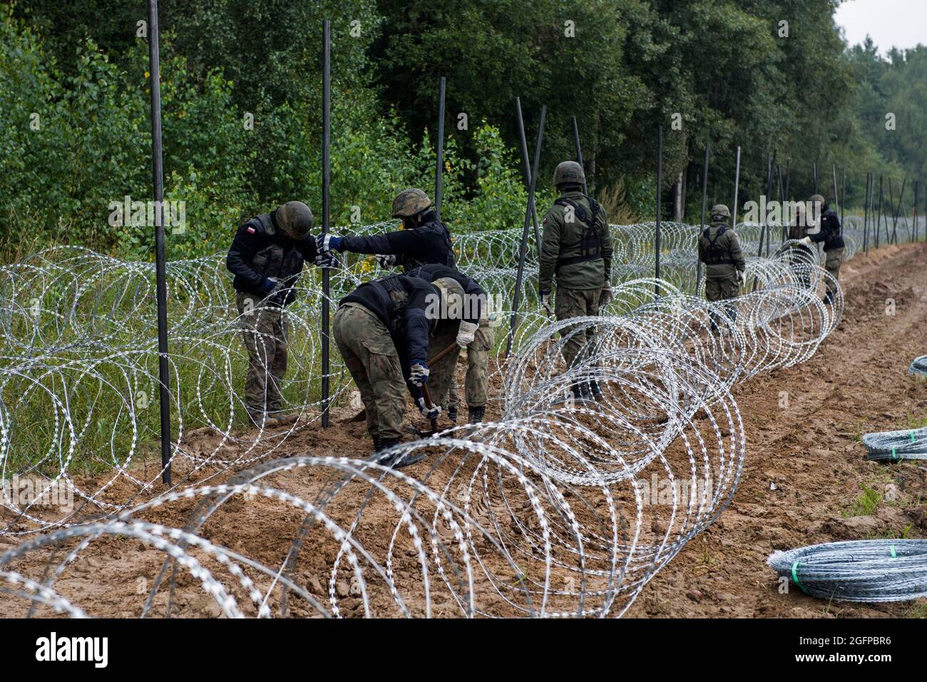 Zubrzyca Wielka, Poland. 26th Aug, 2021. Polish soldiers are seen building a fence along the border with Belarus.Polish army is building a 2.5 meters high barbed wire fence along its border and EU border at the same time with Belarus to stop the recent surge in illegal crossings, mainly by people from Iraq and Afghanistan. Warsaw and Brussels have accused Minsk of deliberately facilitating the passage of migrants into the European Union. (Photo by Attila Husejnow/SOPA Images/Sipa USA) Credit: Sipa USA/Alamy Live News Stock Photo