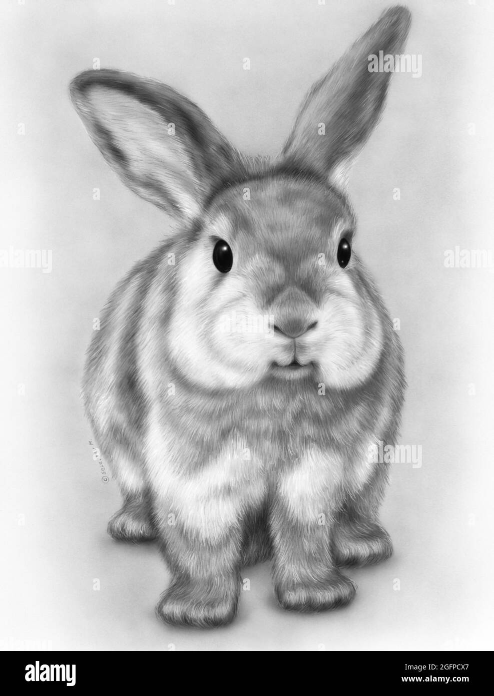 picture rabbit, Illustrations animals Stock Photo - Alamy picture rabbit, Illustrations animals Stock Photo - Alamy