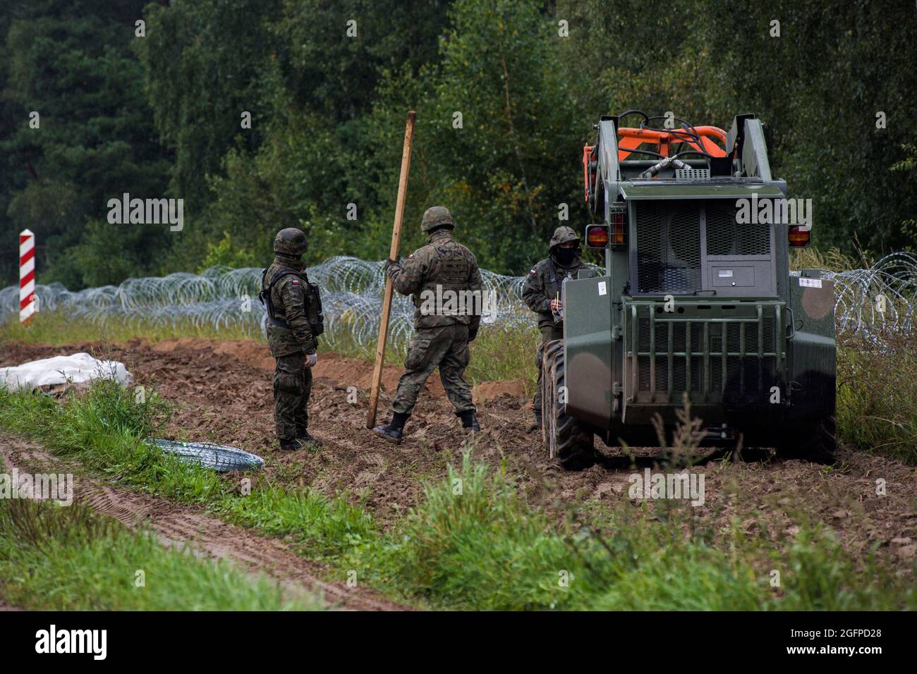 Zubrzyca Wielka, Poland. 26th Aug, 2021. Polish soldiers are seen building a fence along the border with Belarus.Polish army is building a 2.5 meters high barbed wire fence along its border and EU border at the same time with Belarus to stop the recent surge in illegal crossings, mainly by people from Iraq and Afghanistan. Warsaw and Brussels have accused Minsk of deliberately facilitating the passage of migrants into the European Union. Credit: SOPA Images Limited/Alamy Live News Stock Photo