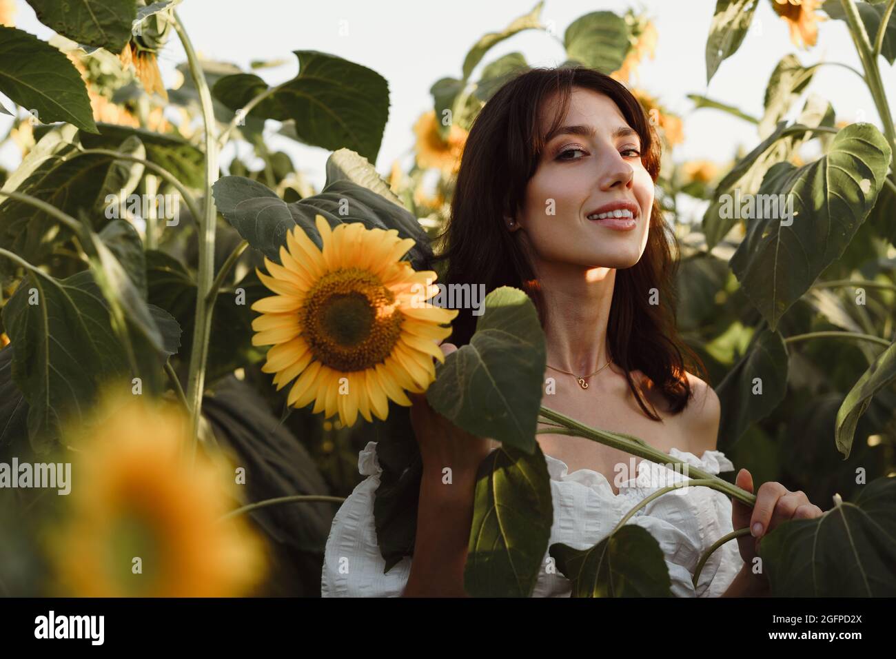 Portrait of beautiful young woman in a field of sunflowers Stock Photo ...