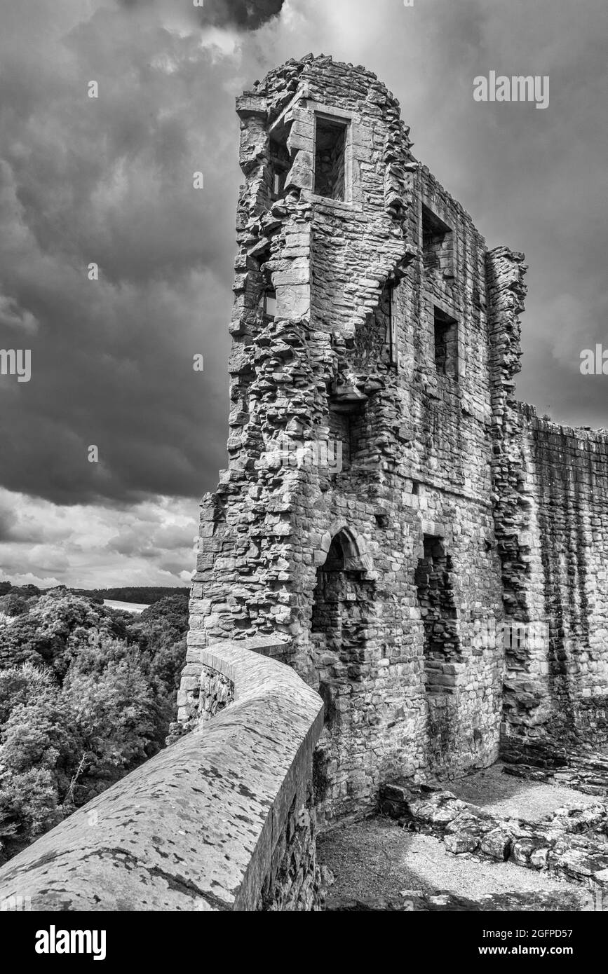 This is the famous 12th century Barnard Castle fortress after which the