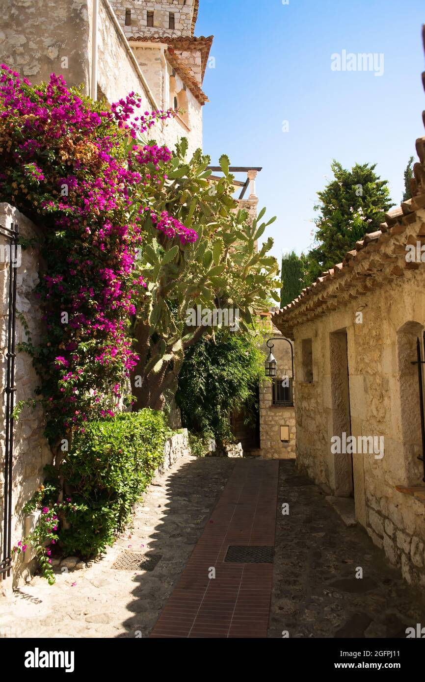 Narrow street in the village of Eze on the French Riviera. Old houses, bougainvillea in bloom, prickly pears, cypresses, jasmine. Stock Photo